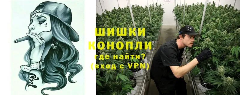 магазин продажи   Вичуга  Марихуана Bruce Banner 